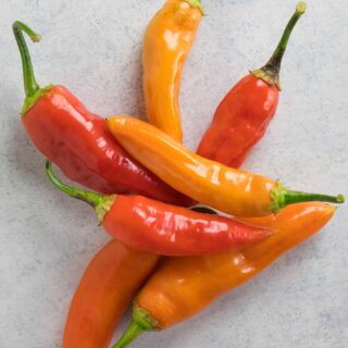 Super hot chilli