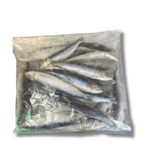 Frozen Sardine 1 Kg